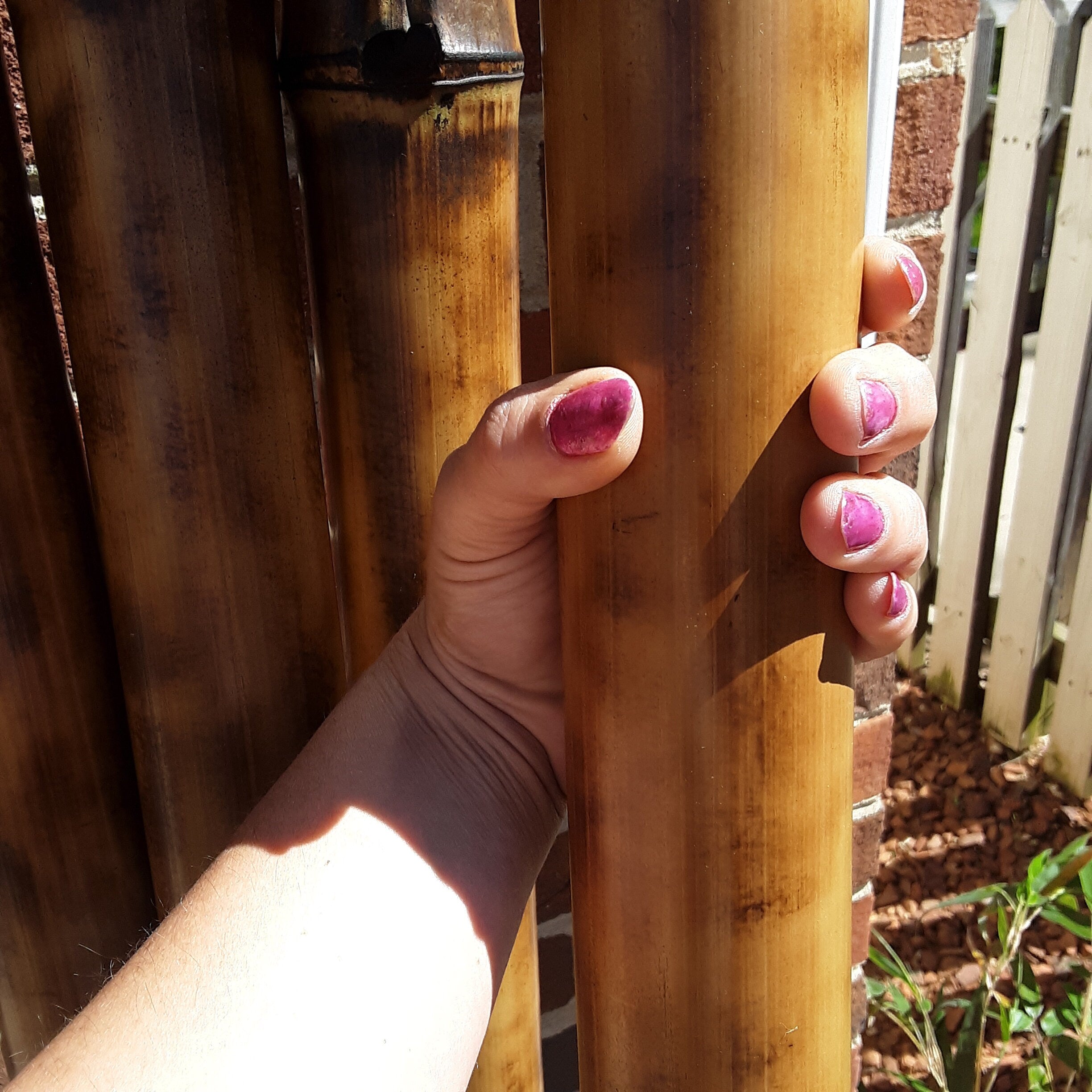 Bamboo Poles 2 pk 2.5-3" Diam. Natural Bamboo Indoor Outdoor Decor Tiki Decor Bamboo Construction Poles Garden Poles Water Feature Bamboo