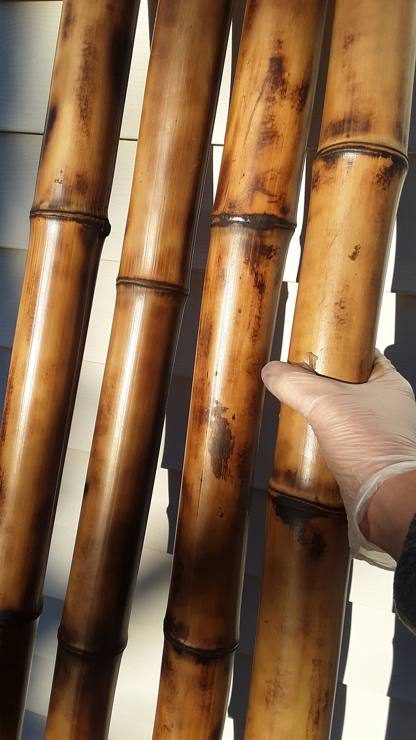 Bamboo Poles 2 pk 2.5-3" Diam. Natural Bamboo Indoor Outdoor Decor Tiki Decor Bamboo Construction Poles Garden Poles Water Feature Bamboo