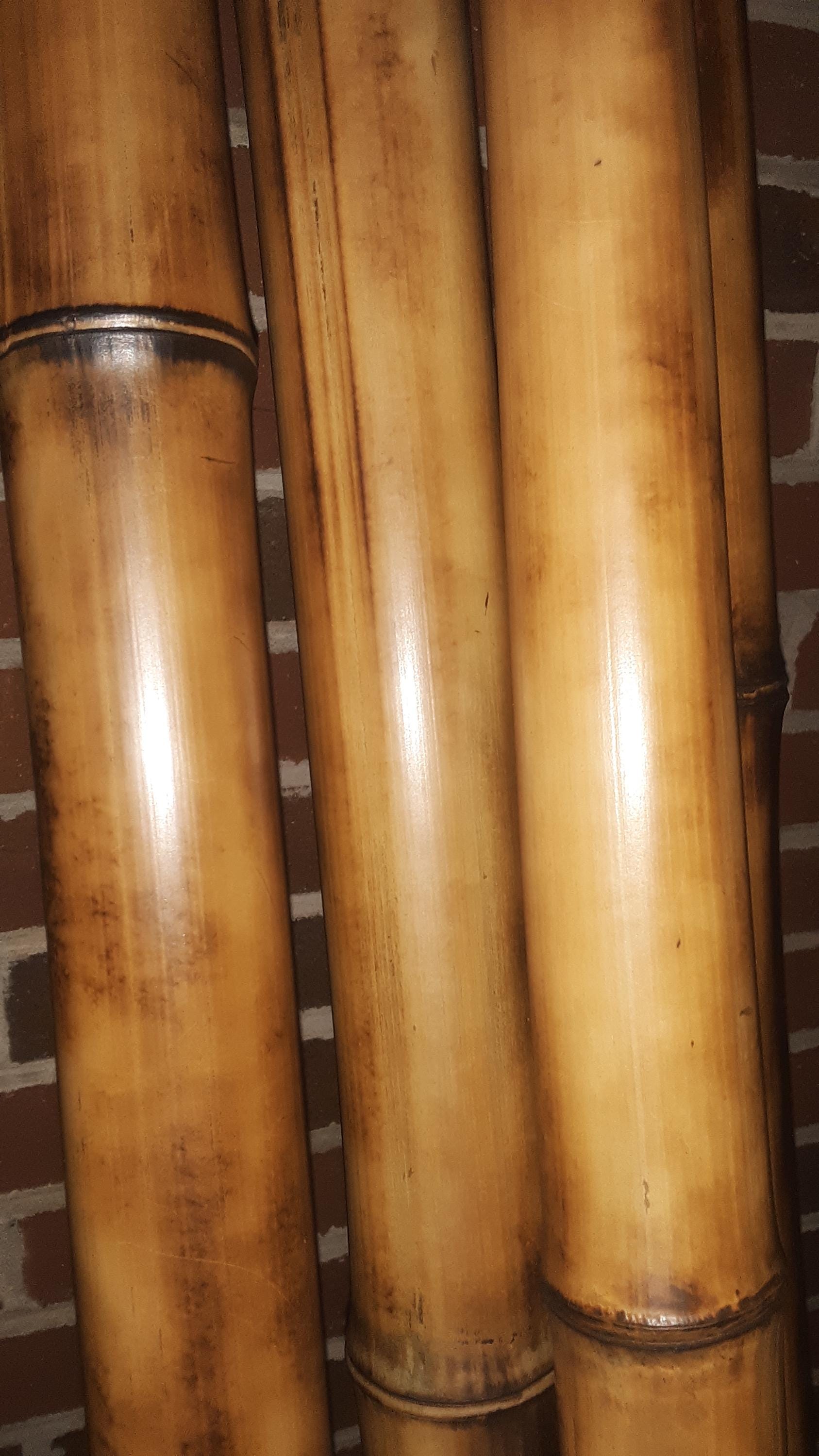 3-3.5" Large Bamboo Poles Set of 2 Flame Cured Quality Bamboo Construction Grade Bamboo Art