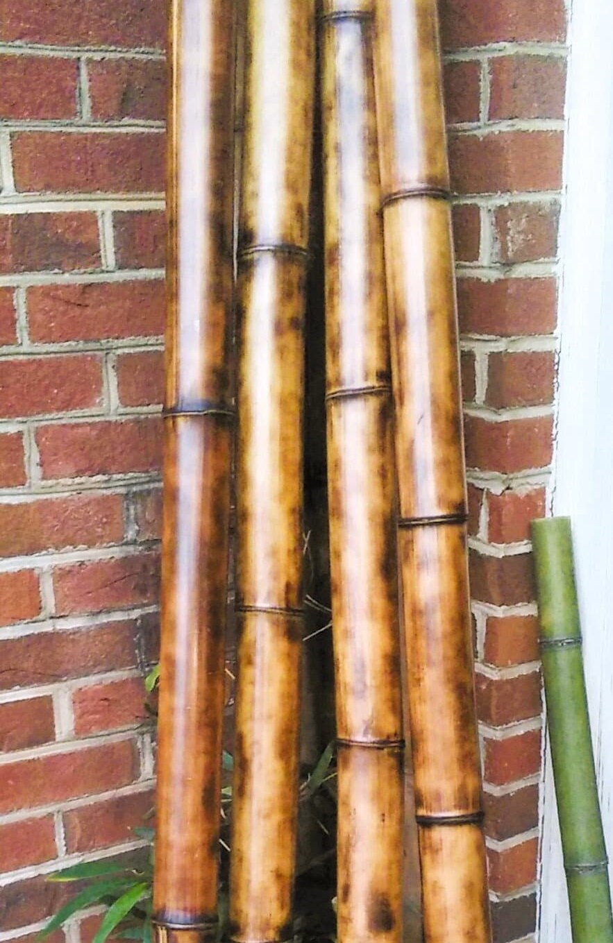 3.5-4" Bamboo Poles Set of 2 Flame Cured Bamboo Indoor/Outdoor Tiki Decor Construction Grade Bamboo Shibari Suspension Pole