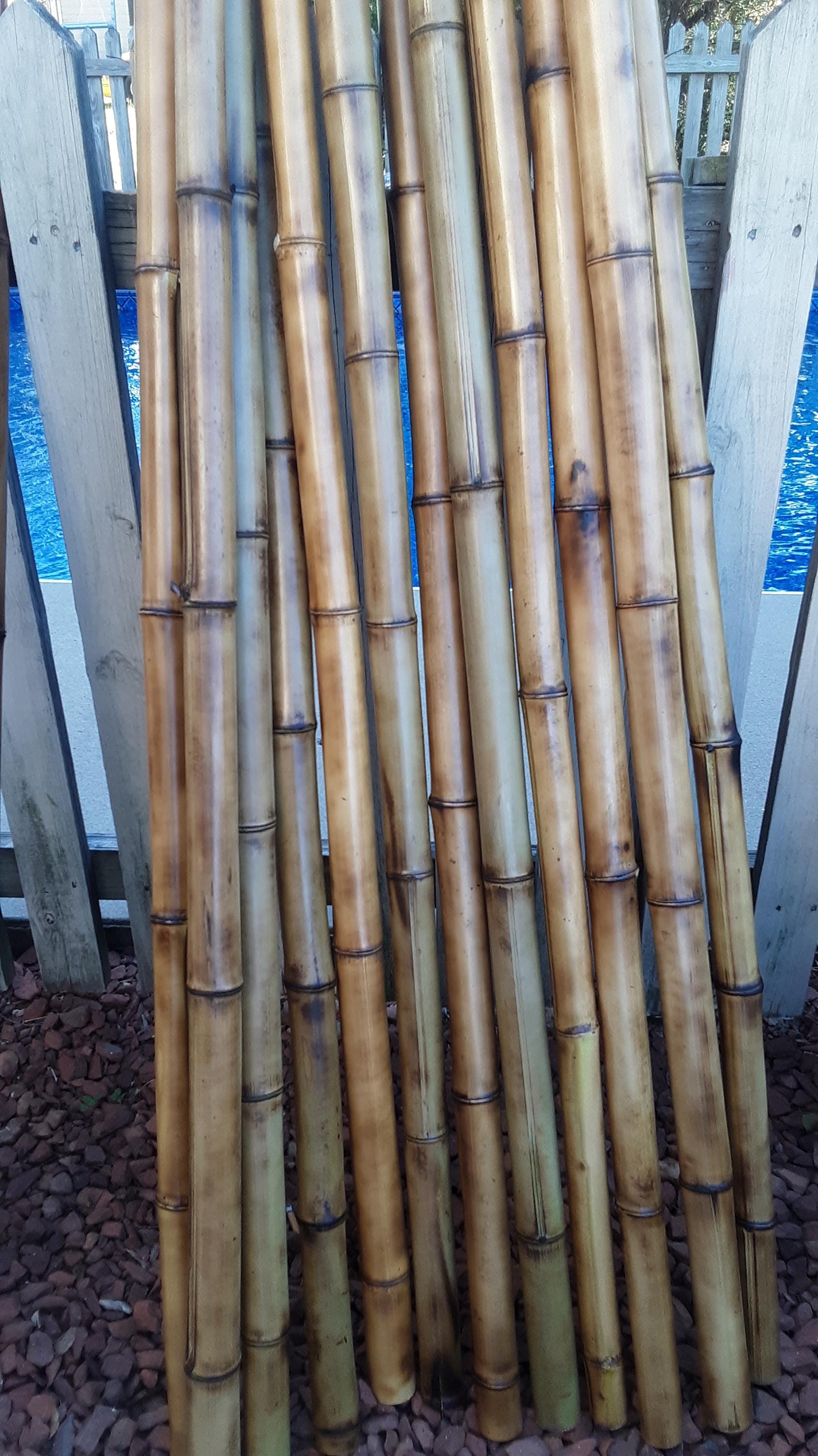 Bamboo Poles 8 Pk 1.5" Diam. Craft Bamboo Sticks Indoor Outdoor Bamboo Decor Bamboo for Garden Bamboo for Vases Sticks for Vase Office Decor