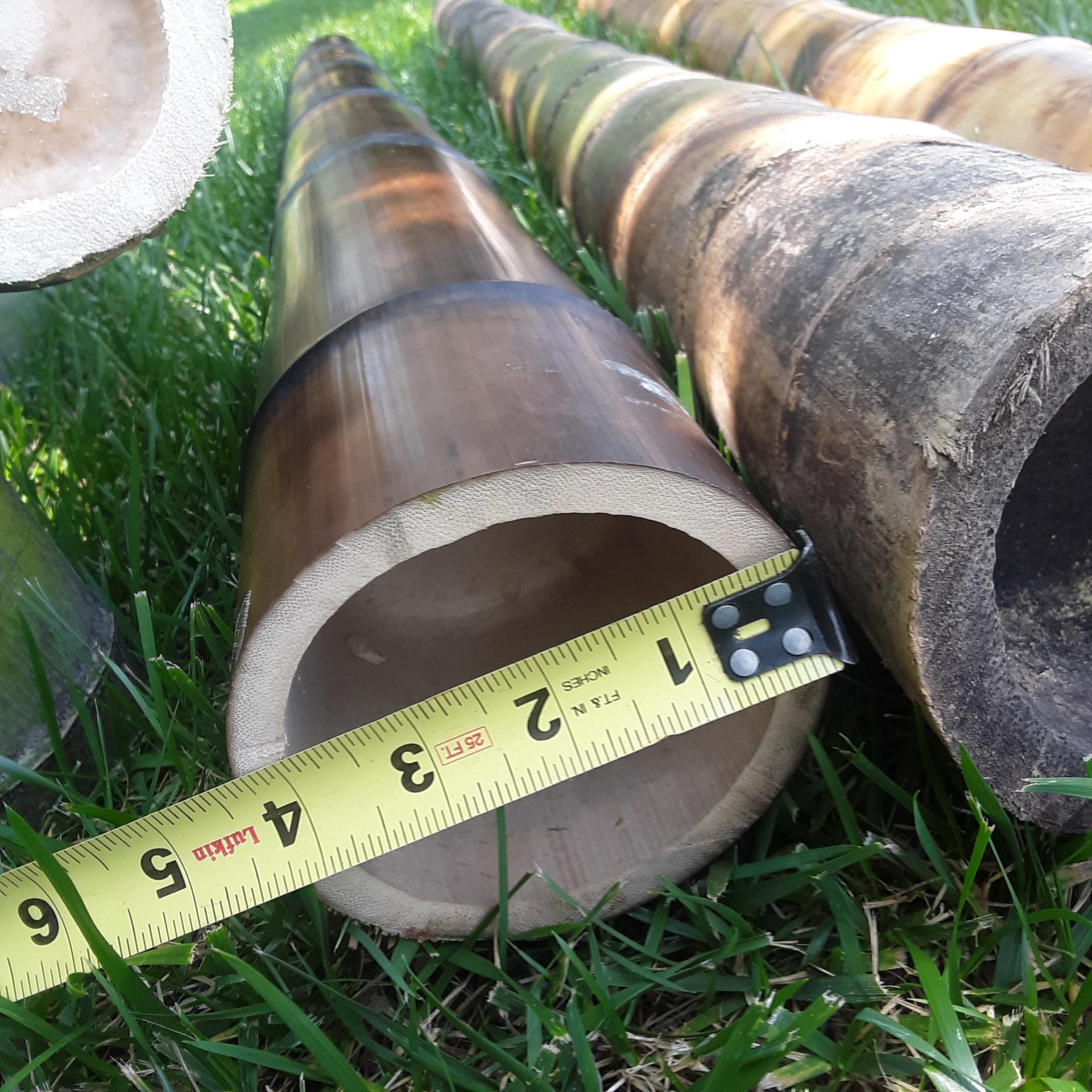 4.5" X Large Bamboo Pole Flame Cured Construction Grade Bamboo Tiki Indoor Outdoor  Decor Garden Office Decor Craft Sticks