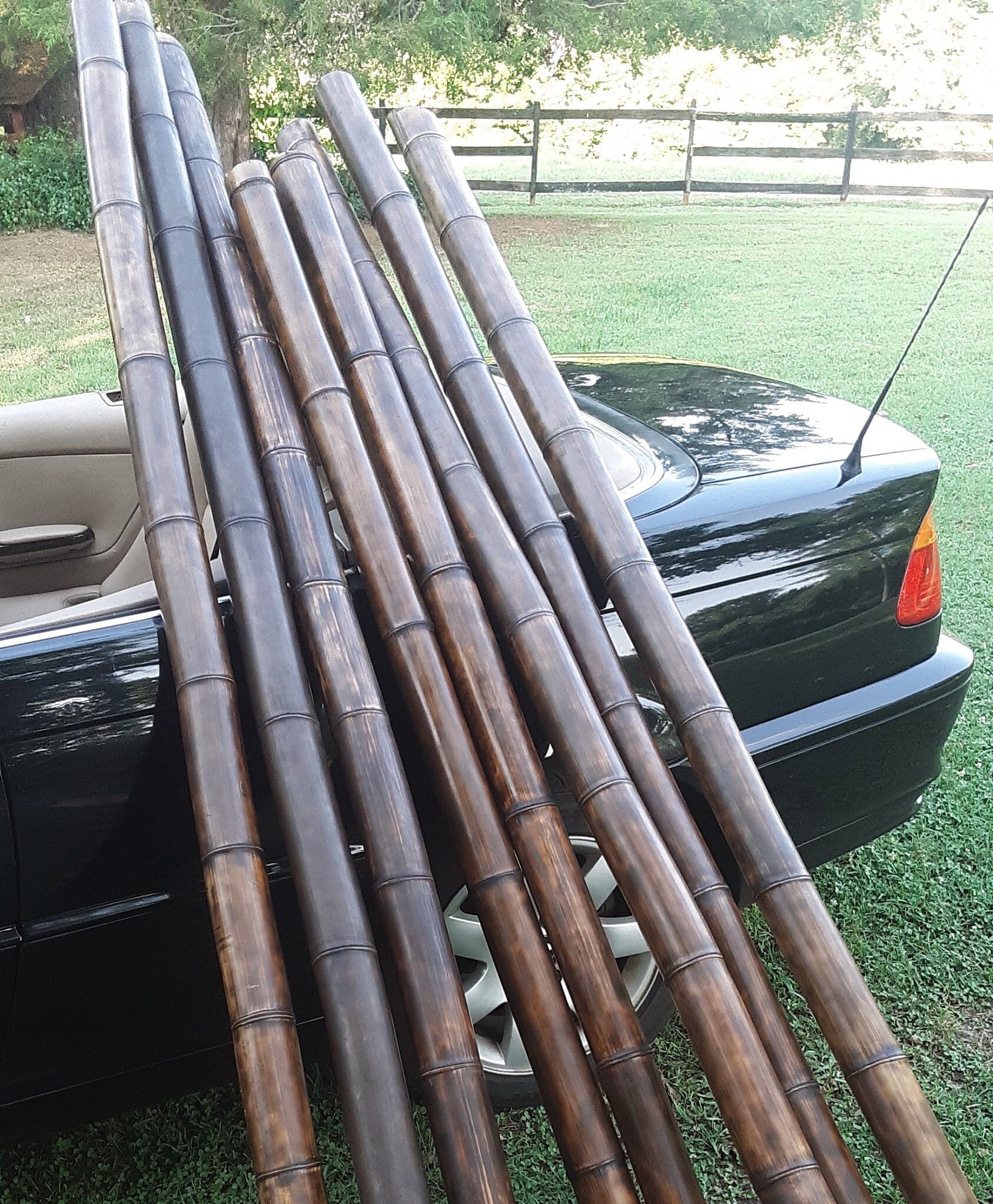 3-3.5" Large Bamboo Poles Set of 2 Flame Cured Quality Bamboo Construction Grade Bamboo Art