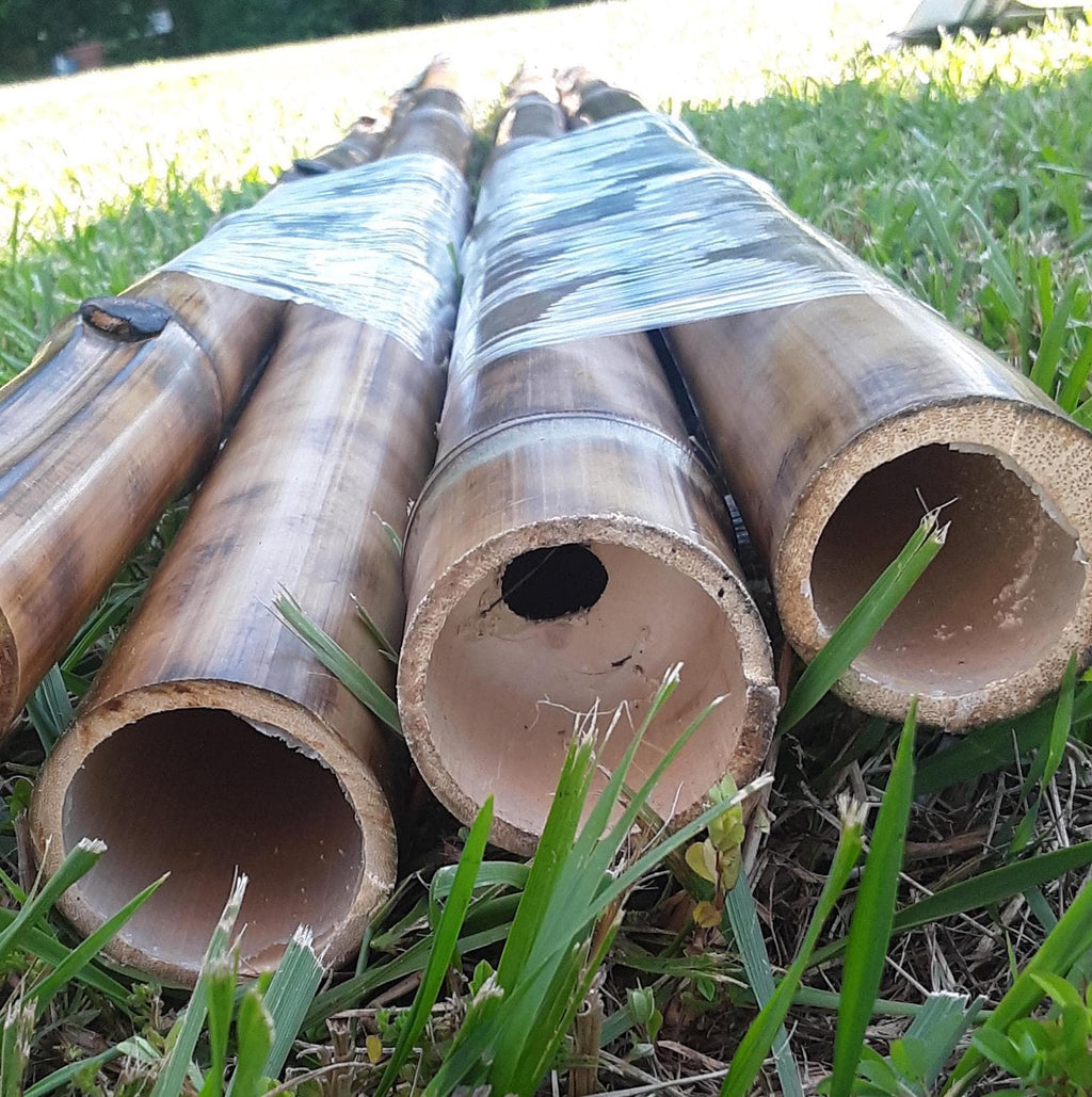 2.5" Set 4 Bamboo Poles Flame Cured All Natural Bamboo Craft Sticks Indoor Outdoor Tiki Decor Bamboo Design