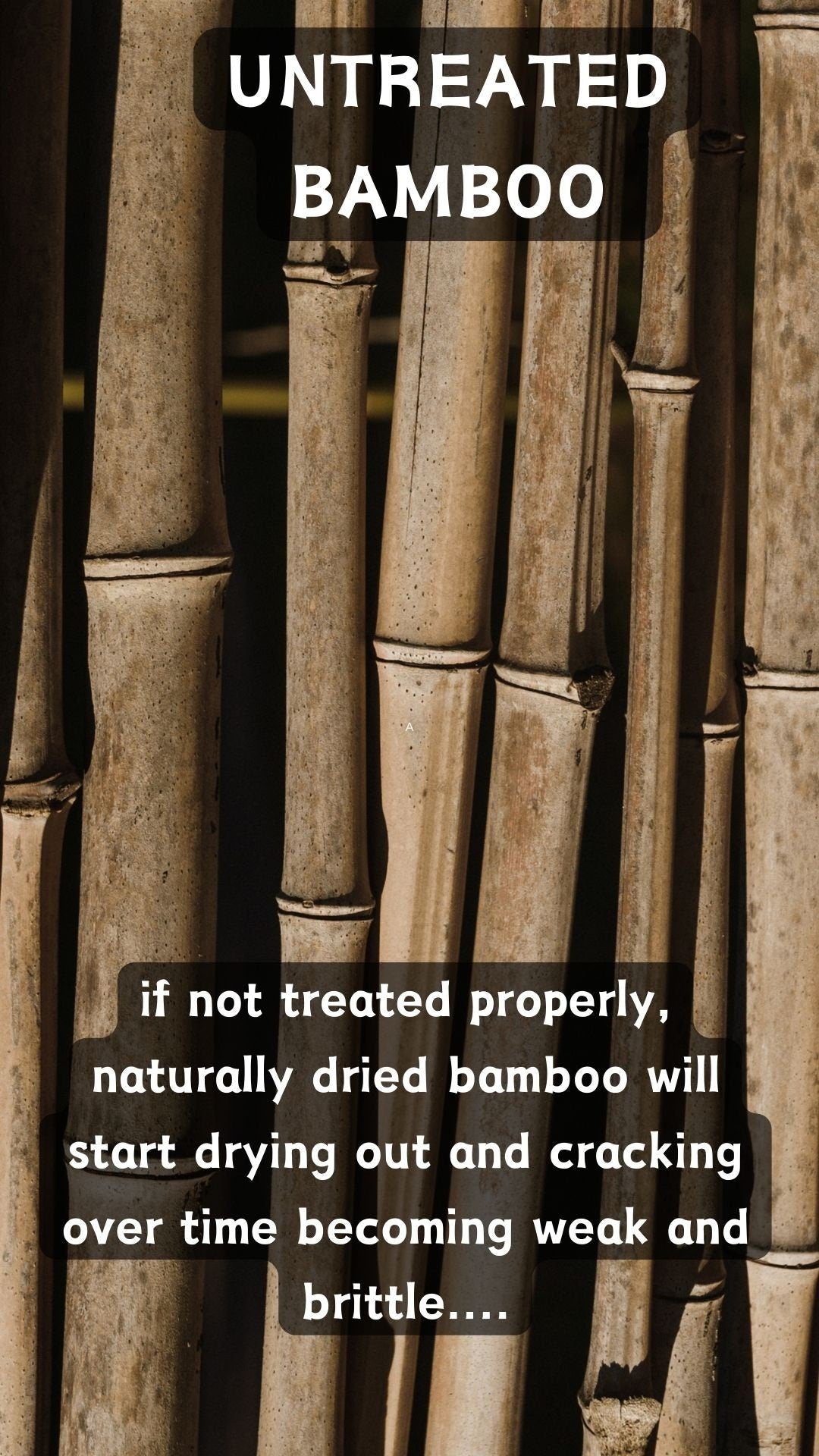 Bamboo Poles 8 Pk 1.5" Diam. Craft Bamboo Sticks Indoor Outdoor Bamboo Decor Bamboo for Garden Bamboo for Vases Sticks for Vase Office Decor