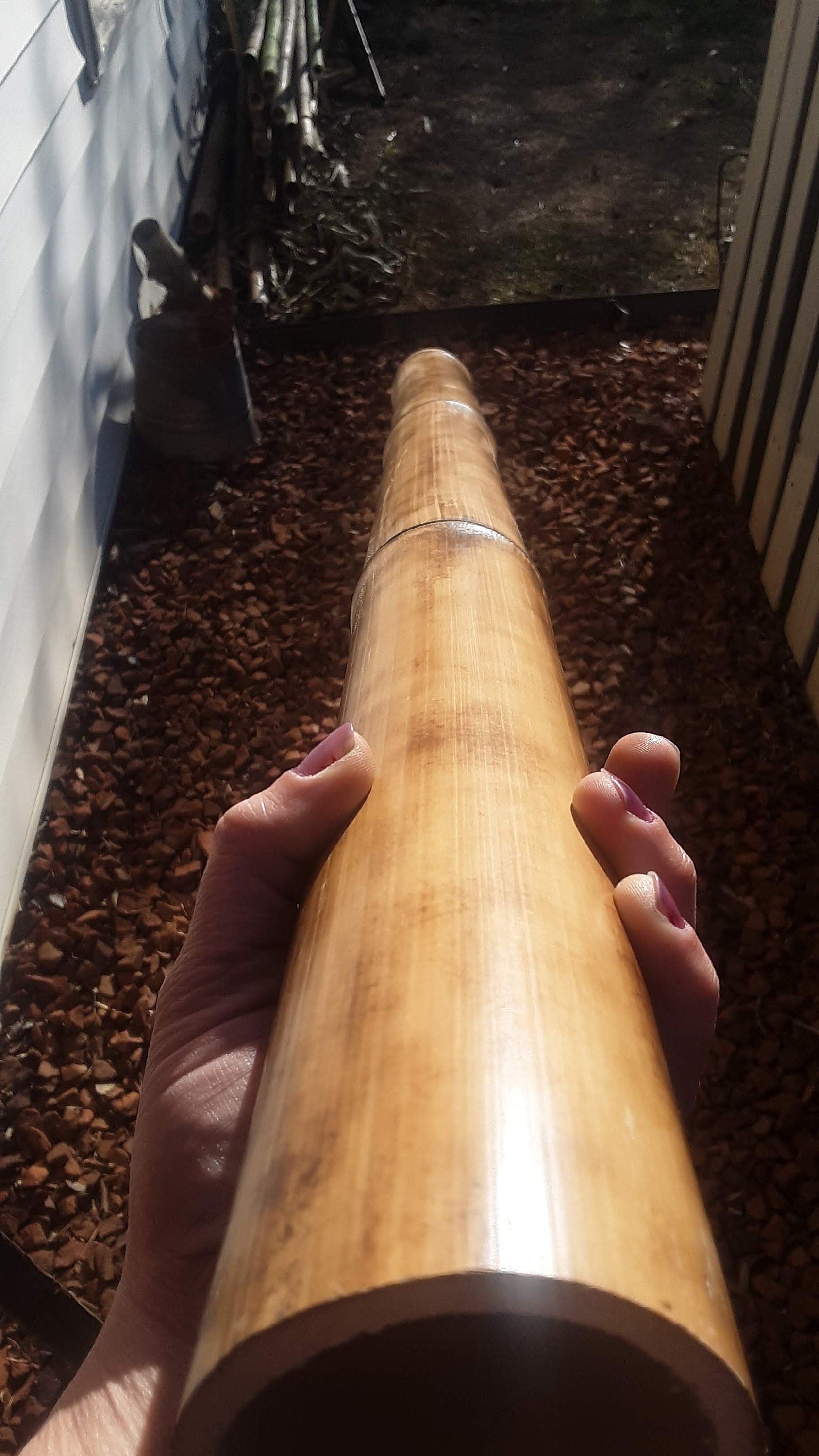 3-3.5" Large Bamboo Poles Set of 2 Flame Cured Quality Bamboo Construction Grade Bamboo Art