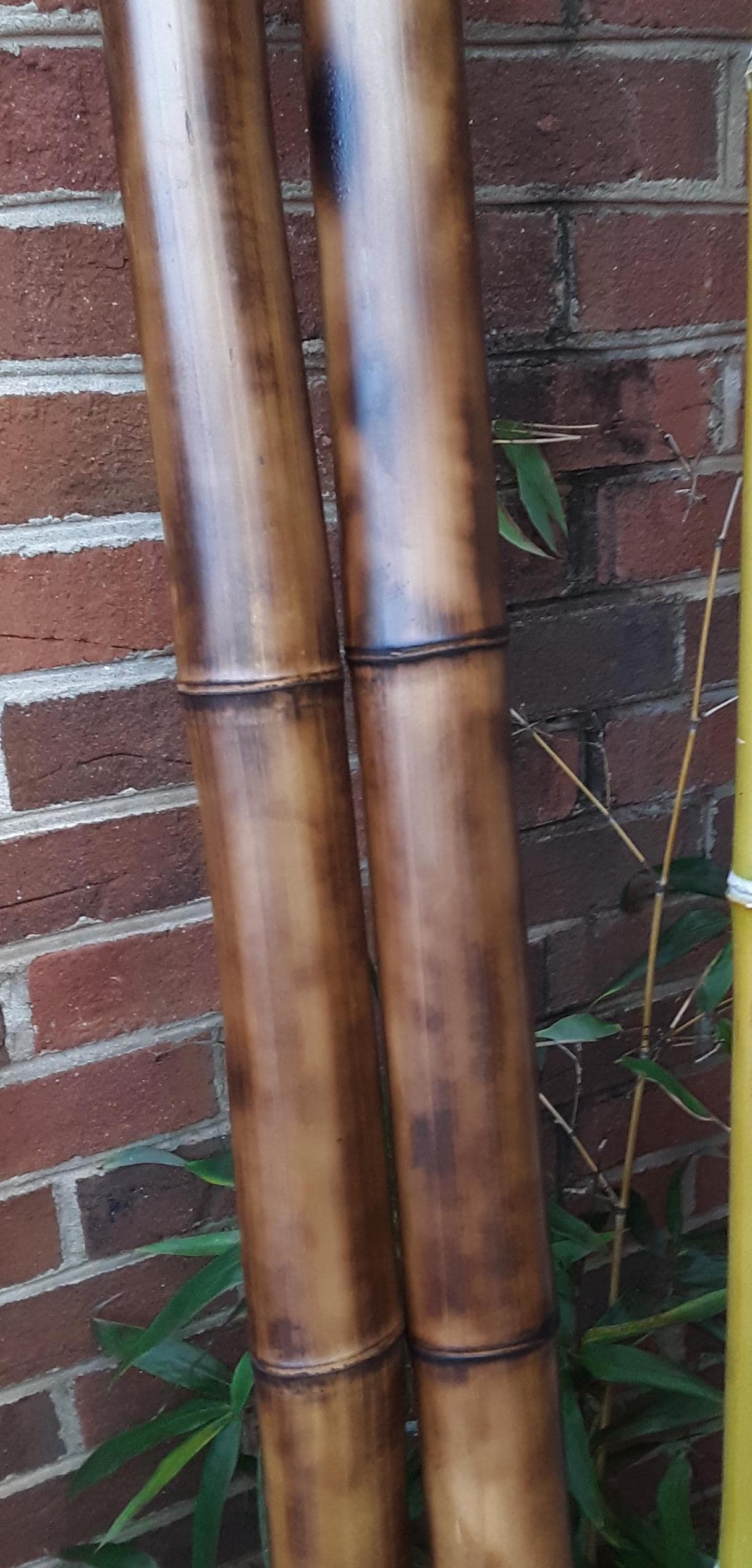 3.5-4" Bamboo Poles Set of 2 Flame Cured Bamboo Indoor/Outdoor Tiki Decor Construction Grade Bamboo Shibari Suspension Pole