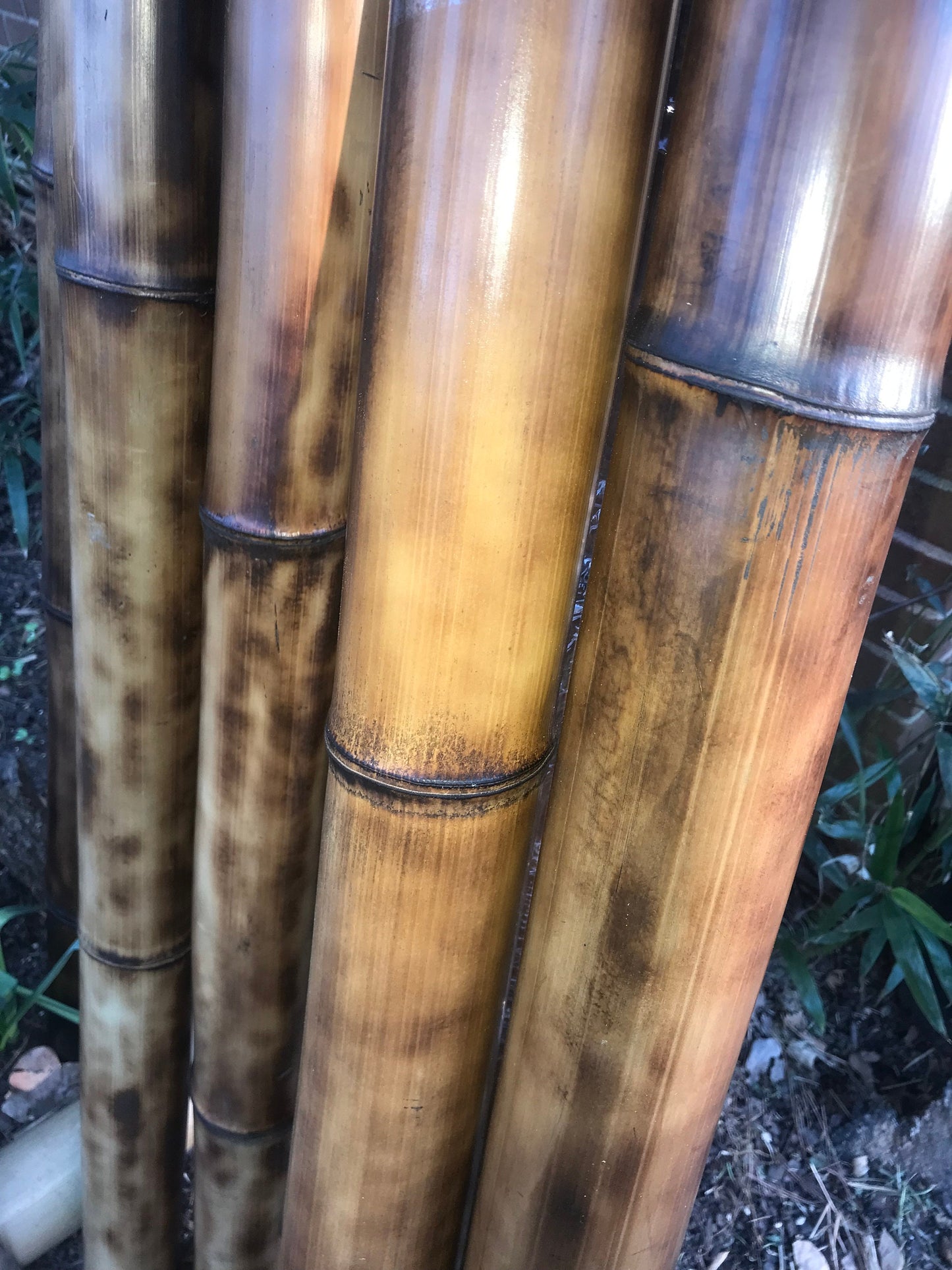 3-3.5" Large Bamboo Poles Set of 2 Flame Cured Quality Bamboo Construction Grade Bamboo Art